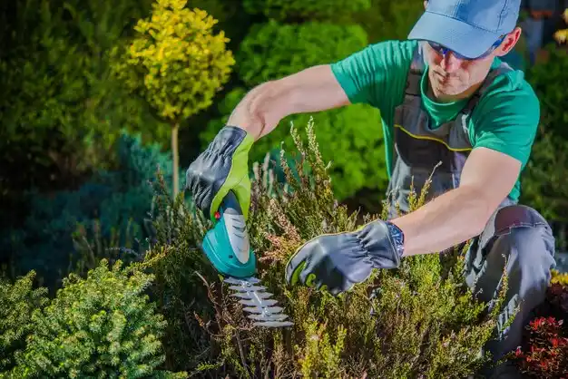 landscaping services Bellville